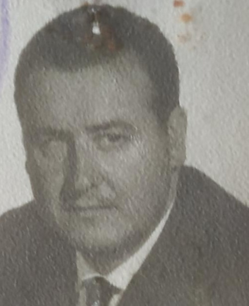 Archivo:Vimen 02.jpg