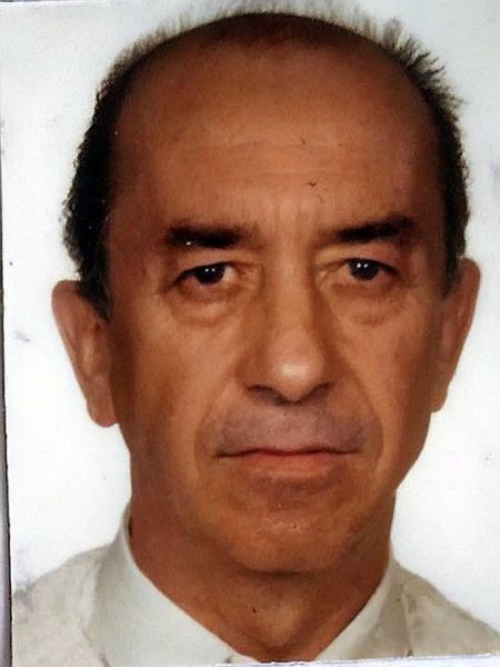 Archivo:Palmer 03.jpg